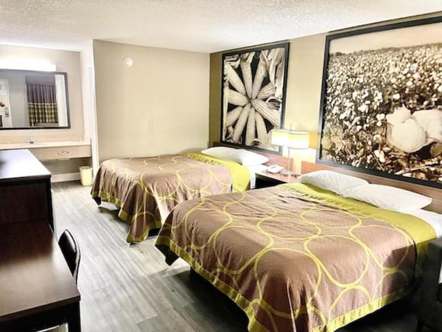 Мотель Super 8 By Wyndham Bay St. Louis Екстер'єр фото